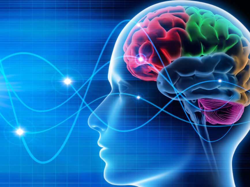 Gehirn - Schwingungen 1